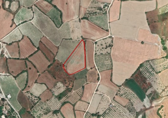 Share of Field in Stroumpi, Paphos