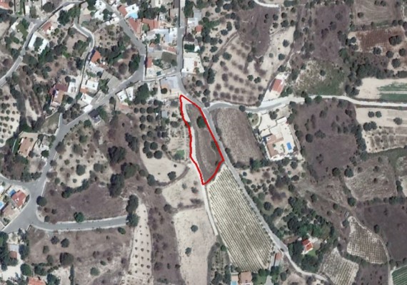 Field in Agios Dimitrianos, Paphos