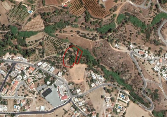 Two Fields in Argaka, Paphos