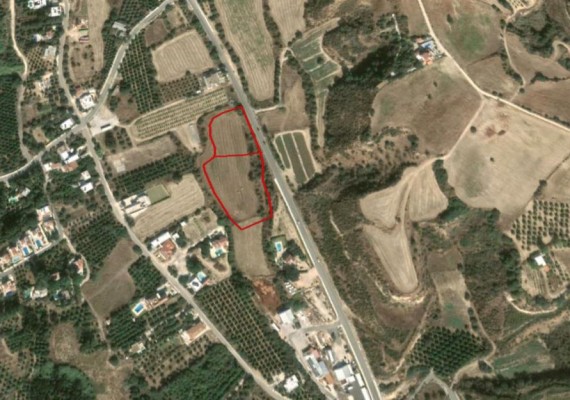 Two Fields in Goudi, Paphos