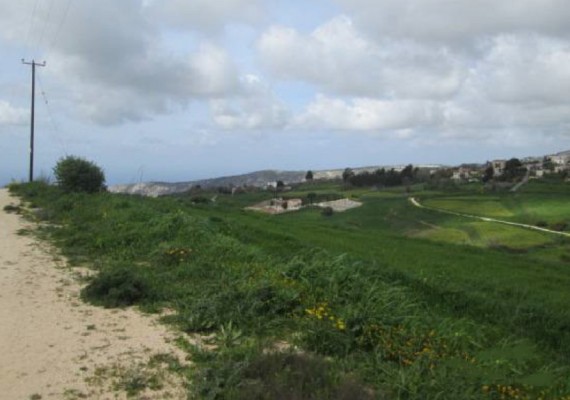 Field in Pano Arodes, Paphos