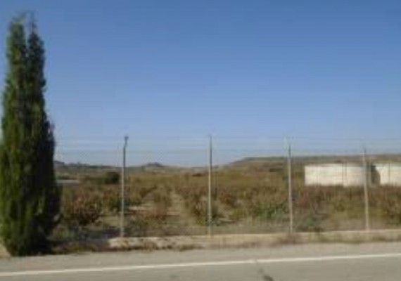 Twelve Adjoining Fields in Polemi, in Paphos